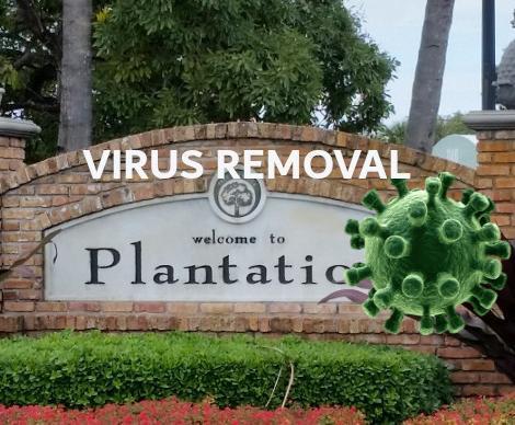 Virus Removal Plantation